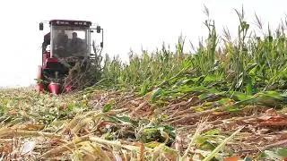 TIANREN CORN HARVESTER THE BEST FOR YOU