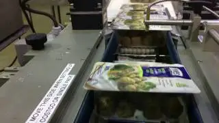 Packaging Division - Labeling and Lidding Film Application Machine