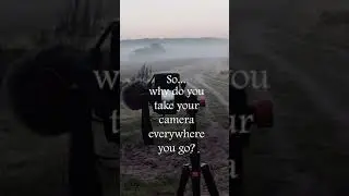 Why do you take your camera everywhere you go?