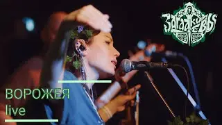 Загадки Евы - Ворожея (live at Glastonberry pub 14.03.25)