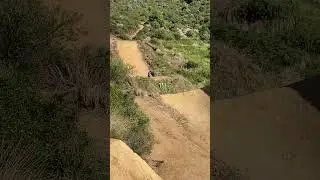 INSANE MTB-CRASH FROM DARKFEST 2022 😳 #shorts