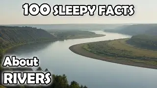2 Hours of Calm River Facts to Fall Asleep To