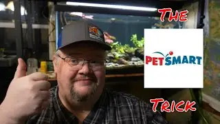 Хитрость PetSmart: как сэкономить МНОГО денег, совершая покупки через PetSmart