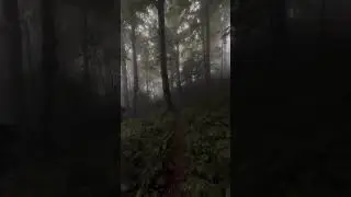 NATURE IS FULL OF BEAUTY🌳