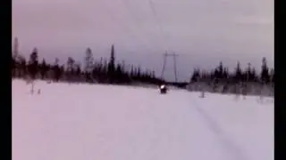 Lynx2