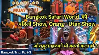 Bangkok Safari World Trip  । Part-3 । Orang-Utan Show। यो कस्तो मजाको कला । HariSaru Official #trip