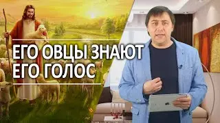 #326 Его овцы знают Его голос - Алексей Осокин - Библия 365