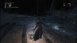 Bloodborne: Darkbeast Paarl #bloodborne #bossfight #soulslike #fromsoftware #miyazaki 