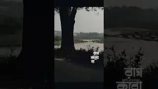 শীতল বাতাস এ #rushda #health#nice #bangladesh