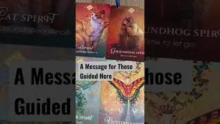 Daily Tea Collective Energy Update Available Now #dailytea #oraclecards #tarotcards