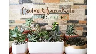 First time making Cactus and Succulents Arrangement | Dish Garden