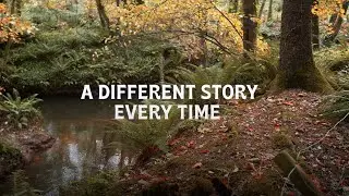A DIFFERENT STORY EVERY TIME