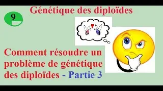 9- Comment résoudre un problème de génétique des diploïdes - Partie 3