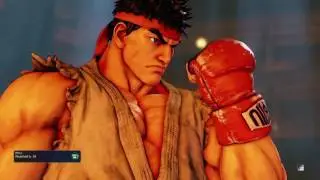 STREET FIGHTER V:Ryu vs R.Mika