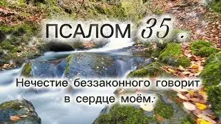 29 декабря 2025 г.
