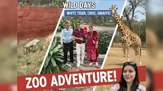 Wild times with my mini-me🐆🐅🐊🐻🐗 #zoo #adventure   #Mommymusewithbaby
