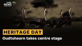 Heritage Day | Oudtshoorn takes centre stage