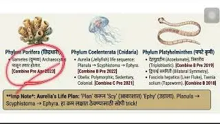 DNA Slides Animal Classification 