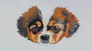 Pet portrait embroidery | DIY realistic pet portrait hand embroidery tutorial