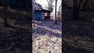 Новая хижина в лесу #horror #forest #travel #лес #дом #горы ⛰️