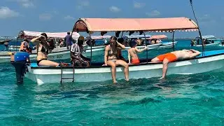 Dolphin watching of the coast of Zanzibar