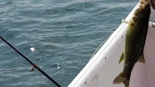 Fishing Trip Schoodic Lake #maine