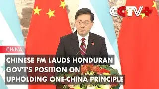 Chinese FM Lauds Honduran Gov't's Position on Upholding One-China Principle