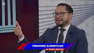 Aumentos o Rebajas de las Pensiones Alimenticias
