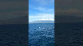 #24 - Ocean Tour - @ FastCat - Dumaguete City to Zamboanga Peninsula, Philippines.#tourismph