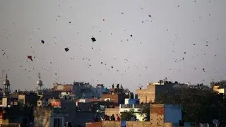 Kite vlog 🪁| Funny clips 🤣