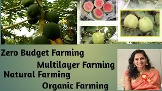 Natural Farming, Organic Farming #PQNK  #SPNF #organicfarming #owdc #nwdc