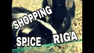 Шопинг в SPICE.RIGA.Хотела СВИНКУ купить.
