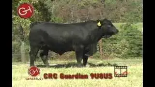 CRC Guardian 9U8U5