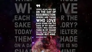 Hadith Qudsi: Allah Almighty's Shelter