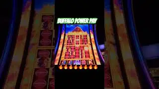 🔥BUFFALO🔥 POWER PAY INSTANT FEATURE #buffalo #gambling #casino #lasvegas #viral #love