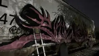 Graffiti en las v&iacute;as  graffiti trenes power demonios