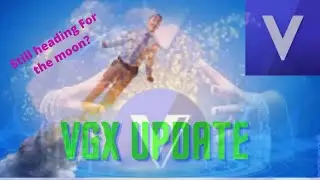 Is vgx still going to the moon? Voyager token update/ how it held up over this pull back