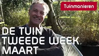 Wat te doen tweede week maart in de tuin | maart 2024 | Tuinmanieren