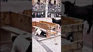 Dodging a bull&mdash;super thrilling!