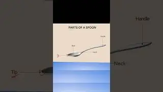 Parts of a Spoon