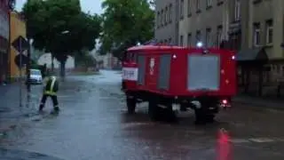 IFA W50 TLF16 Freiwillige Feuerwehr Rodewisch *Hochwasser 2013*