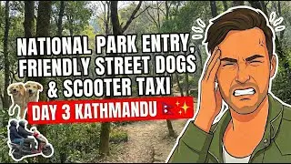 Wstęp do Parku Narodowego, przyjazne psy uliczne i taks&oacute;wka skuterowa w Katmandu | Odcinek 3 #nep...