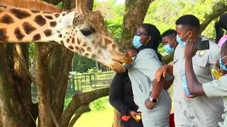 Tears and Joy As We Came Face To Face With Wild Animals