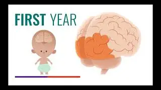 Baby Brain Development, Nurturing Young Minds