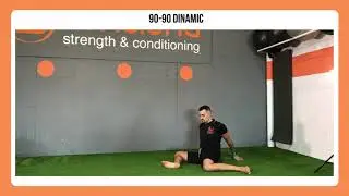 Els 6 EXERCICIS de MALUC que hauries de FER