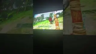 Beautiful super turkey
