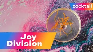 Joy Division Cocktail Recipe | Contemporary Dry Gin & Absinthe Mix