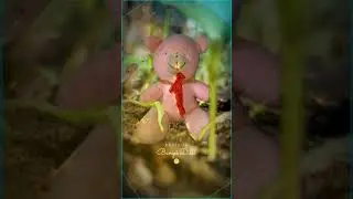 Cute teddy bear // WhatsApp Shorts Video - Viral Songs ❣️ Text Glow status 🥀 Romantic Songs #shorts