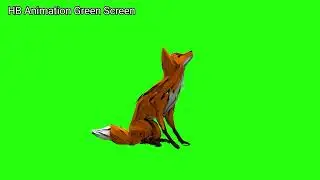 Fox 🦊 Animation Green Screen