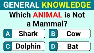 How Good Is Your General Knowledge? | Take This 25 Question Quiz To Find Out! Trivia Quiz 154